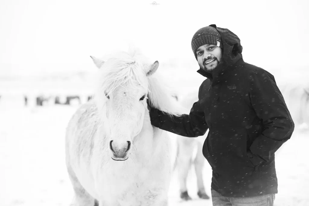 Icelandic horse Tales and Trails